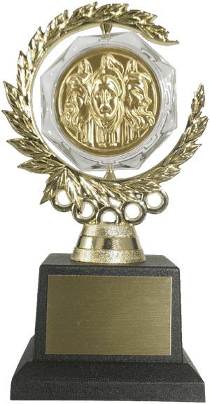 Transparent Award Leaves Png - Tony Awards Trophy Png, Png Download PNG image with transparent background