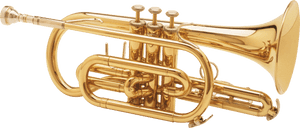 Trumpet Png, Transparent Png PNG with transparent background