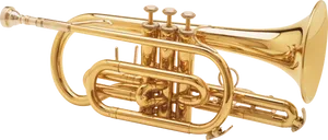 Golden Trumpet Isolatedon White PNG Image