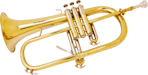 Trumpet Png - Transparent Background Trumpet Gif, Png Download PNG with transparent background