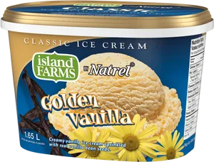 Golden Vanilla Ice Cream Container PNG Image