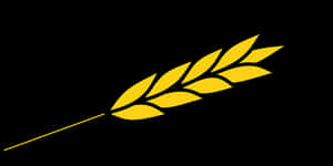 Golden Wheat Ear Black Background PNG image with transparent background