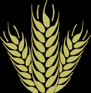 Golden Wheat Ears Vector Illustration PNG image with transparent background