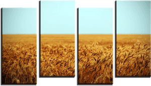 Wheat Field 4 Panel Canvas Print - Field, HD Png Download PNG image with transparent background