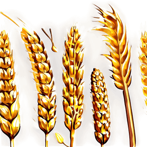 Golden Wheat Field PNG 84 PNG image with transparent background