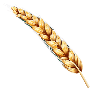 Golden Wheat Field PNG ptj PNG image with transparent background