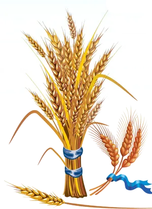 Golden Wheat Sheaves Vector PNG Image