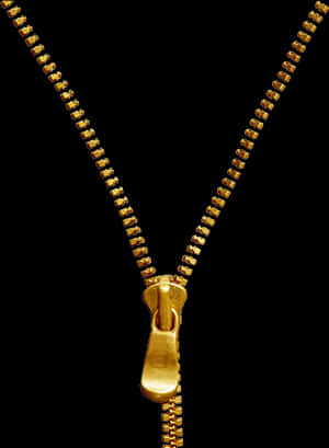 Transparent Gold Zipper Png - Golden Zipper Transparent, Png Download PNG with transparent background