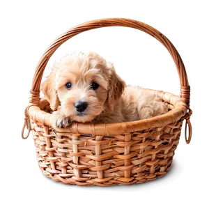 Goldendoodle In Basket Png 06262024 PNG Image