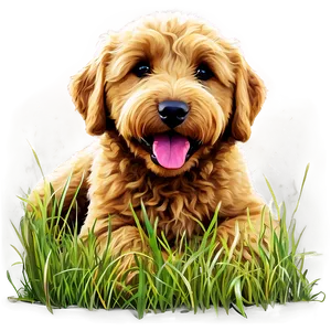 Goldendoodle In Grass Png 74 PNG Image