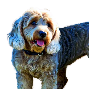 Goldendoodle Side View Png Lss34 PNG Image