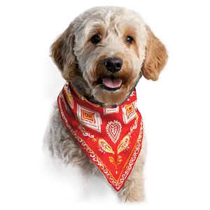 Goldendoodle Wearing Bandana Png 61 PNG Image