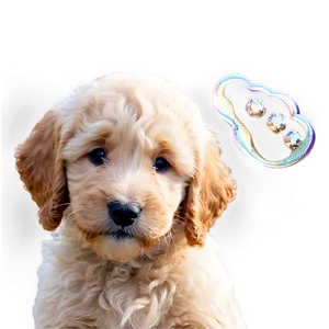 Goldendoodle With Puppies Png 33 PNG Image