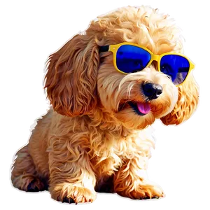 Goldendoodle With Sunglasses Png Qns50 PNG Image