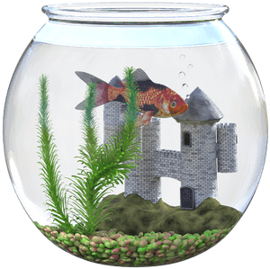 Goldfish, Bowl, Water, Castle, Plant, Children, Pet - Goudvis In Kom Kasteel, HD Png Download PNG image with transparent background