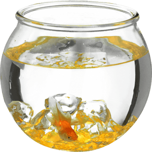 Aquarium Png Images - Aquarium, Transparent Png PNG image with transparent background