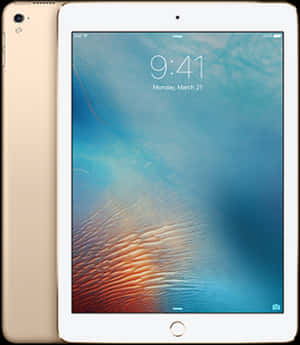 Goldi Pad Frontand Back View PNG image with transparent background