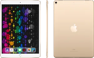 Goldi Pad Pro Frontand Back PNG Image