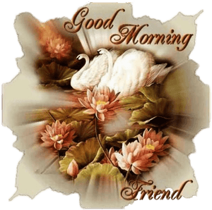 Good Morning Png Image - Good Morning Images With Wild Animals Hd, Transparent Png PNG image with transparent background