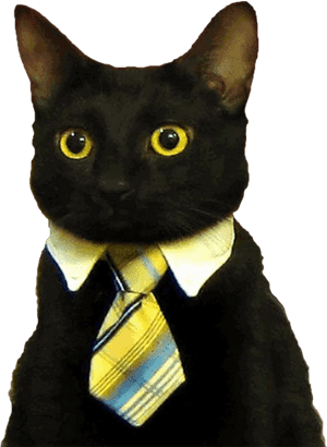 Good Morning Funny Cat , Png Download - Business Cat Meme Blank, Transparent Png PNG image with transparent background