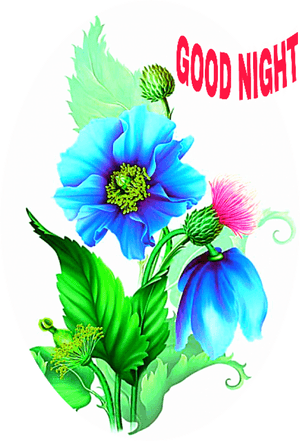 Moonbeam's 1212 , Png Download - Flower Good Night Png, Transparent Png PNG image with transparent background