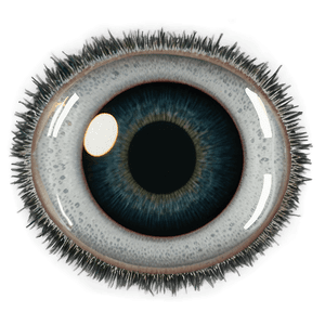 Googly Eyes Transparent PNG hce69 PNG