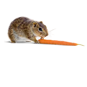 Gopher Eating Carrot Png Quy47 PNG Image