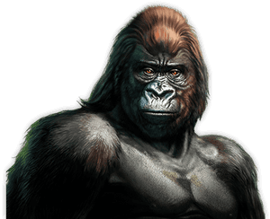 Gorilla™ - Gorilla Slot, HD Png Download PNG image with transparent background