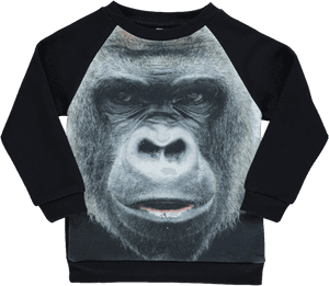 Western Lowland Gorilla, HD Png Download PNG image with transparent background