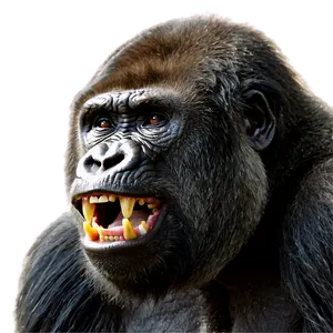 Gorilla Showing Teeth Png Mfe PNG Image