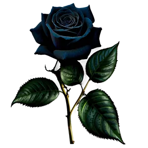 Gothic Black Roses Png Csd PNG Image