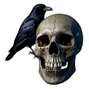 Gothic Raven And Skull Png 06122024 PNG Image