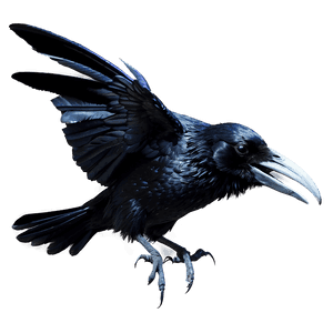 Gothic Raven PNG 82 PNG image with transparent background