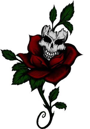 Gothic Skull Rose Art PNG Image