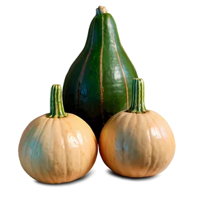 Gourd Arrangement Png 06292024 PNG Image