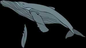Graceful Blue Whale Illustration PNG with transparent background
