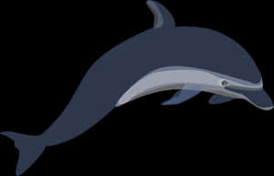 Graceful Dolphin Illustration PNG image with transparent background