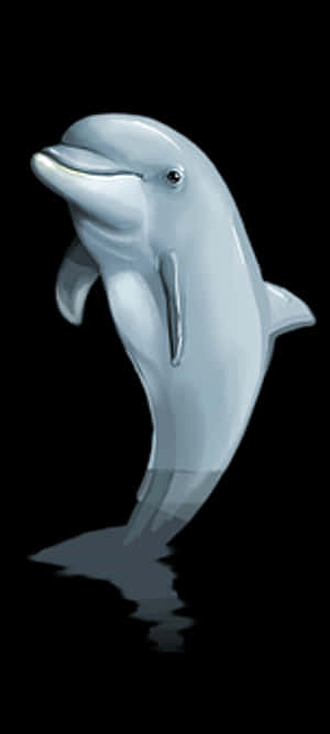 Graceful Dolphin Illustration PNG image with transparent background