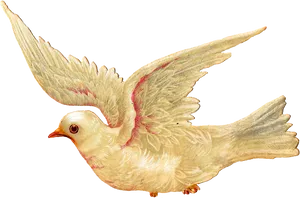 Graceful Flying Dove Illustration PNG Image