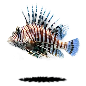 Graceful Lionfish Png Dkh46 PNG Image