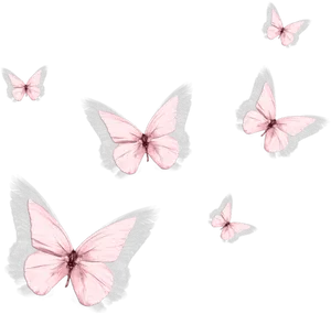 Graceful Pink Butterfly In Bloom PNG Image