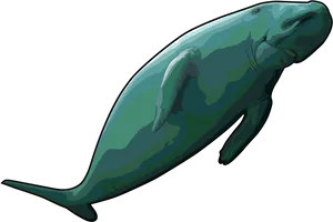 Graceful Whale Clipart PNG Image