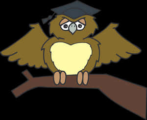 Graduate Owl Cartoon PNG image with transparent background