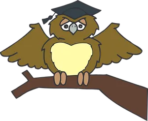 Graduate Owl Cartoon PNG Image