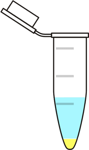 Eppendorf Sample Png, Transparent Png PNG image with transparent background