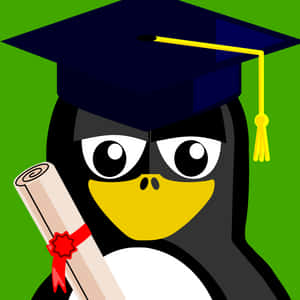Graduated Penguin Cartoon PNG image with transparent background