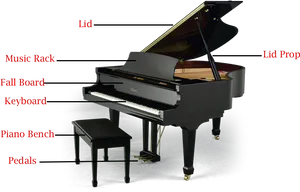 Grand Piano Parts Identification PNG Image