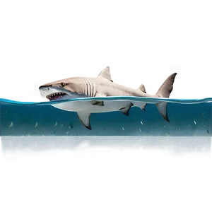 Grandpa Shark Swimming Png Xol PNG Image