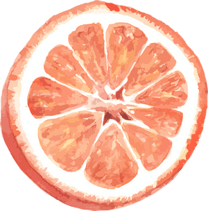 Grapefruit, Citrus, Vector, Watercolor, Incision - Grapefruit Pun, HD Png Download PNG with transparent background