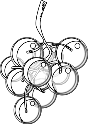 Grapes - Clipart - Black - And - White - Grape Sketch - Black And White Grape, HD Png Download PNG image with transparent background